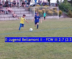 Bellamont ii - FCW III 371.jpg