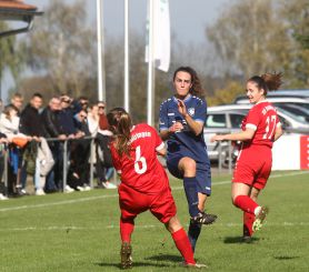 Baltringen - FCW42.jpg