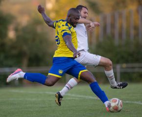 FCW - Ringschnait6.jpg