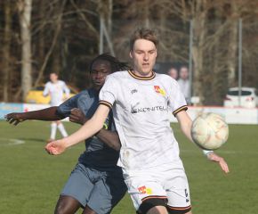 Laupertshausen - FCW37.jpg