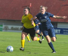 Alberweiler IIi - FCW19.jpg