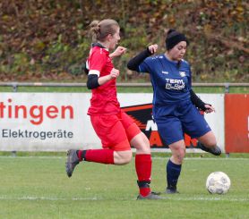 Baltringen (2) - FCW19.jpg