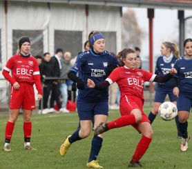 Baltringen (2) - FCW24.jpg