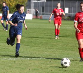 Baltringen - FCW14.jpg