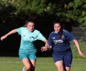 Bellamont III-FCW31.jpg