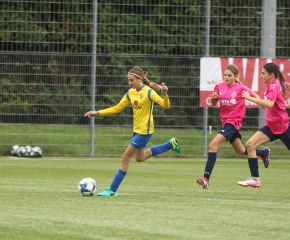 FCW  Härtsfeld3.jpg
