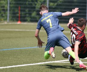FCW - Rot 14.jpg