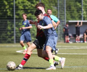 FCW - Rot 23.jpg