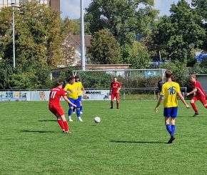 fcw 2 - Kirchberg10.jpg