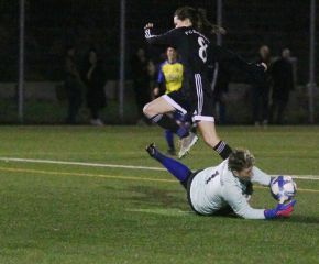 FCW - Bellamont II14.jpg