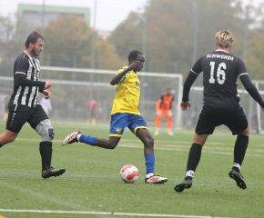 FCW - Schwendi5.jpg