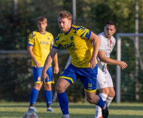 FCW - Ringschnait1.jpg