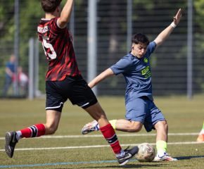 FCW - Rot 7.jpg
