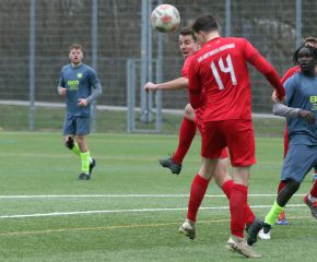 FCW - SGM Birkenhard13.jpg