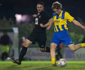 fcw - ringschnait4.jpg