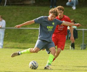 Birkenhard - FCW30.jpg