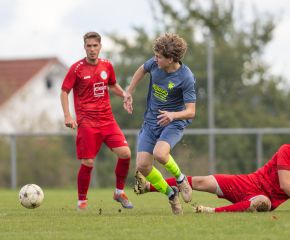Birkenhard - FCW33.jpg