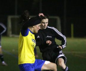 FCW - Bellamont II6.jpg