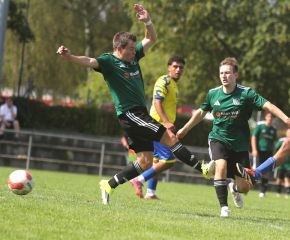 FCW - Berkheim7.jpg