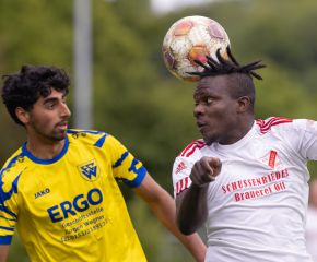 FCW - Neufra8.jpg
