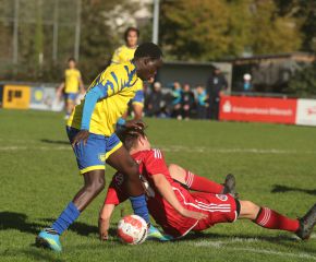 FCW - Reinstetten20.jpg