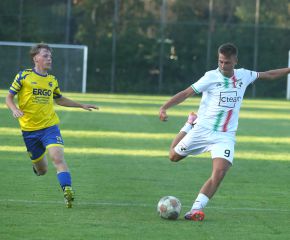 FCW - SGM Ringschnait6.jpg
