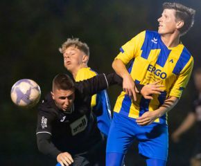 fcw - ringschnait7.jpg