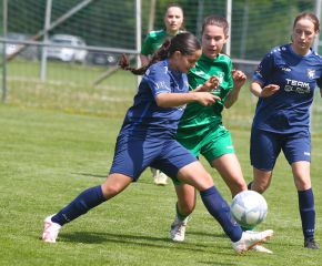Alberweiler II - FCW30.jpg