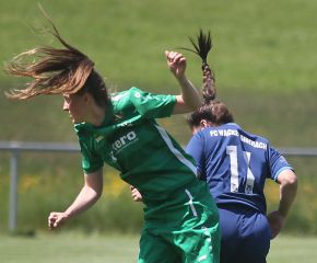 Alberweiler II - FCW37.jpg