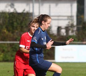 Baltringen - FCW12.jpg