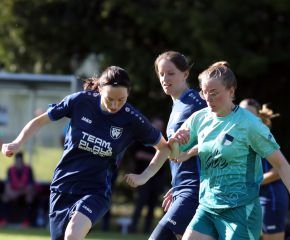 Bellamont III-FCW11.jpg