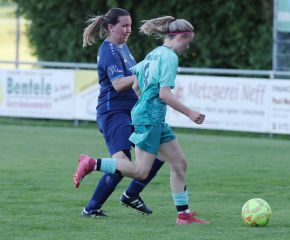 Bellamont III-FCW20.jpg
