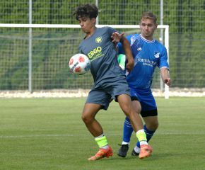 Betzeneweiler - FCW10.jpg