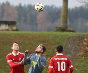 Dettingen - fCW13.jpg