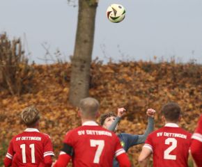 Dettingen - fCW15.jpg