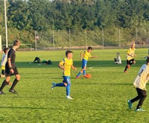 E1 Sulmetingen - FCW4.jpg