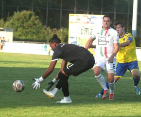 FCW - SGM Ringschnait11.jpg