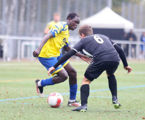 FCW - Schwendi7.jpg