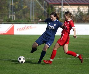 Baltringen - FCW1.jpg