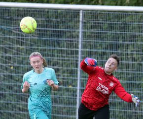 Bellamont III-FCW15.jpg