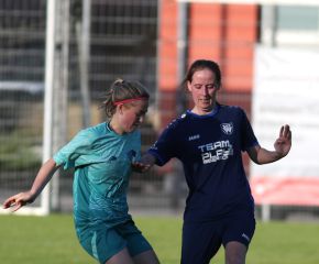 Bellamont III-FCW34.jpg