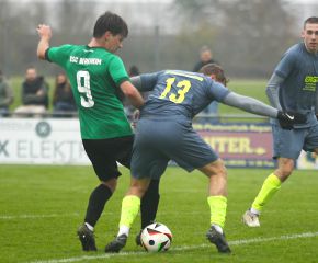 Berkheim - FCW14.jpg