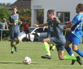 Betzeneweiler - FCW34.jpg