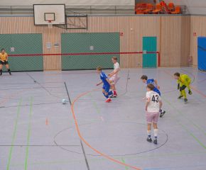 Verbandsfinale172.jpg