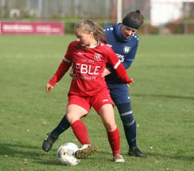 Baltringen (2) - FCW12.jpg