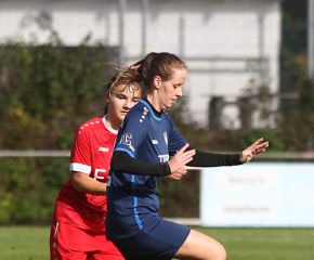 Baltringen - FCW12.jpg