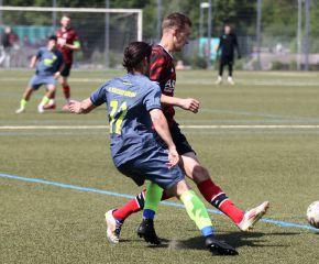 FCW - Rot 11.jpg