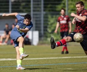 FCW - Rot 6.jpg