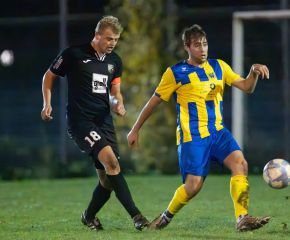 fcw - ringschnait5.jpg