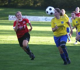 Baltringen - FCW17.jpg